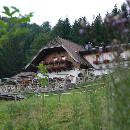 טראונקירכן Ferienwohnung Hochsteinalm מראה חיצוני תמונה