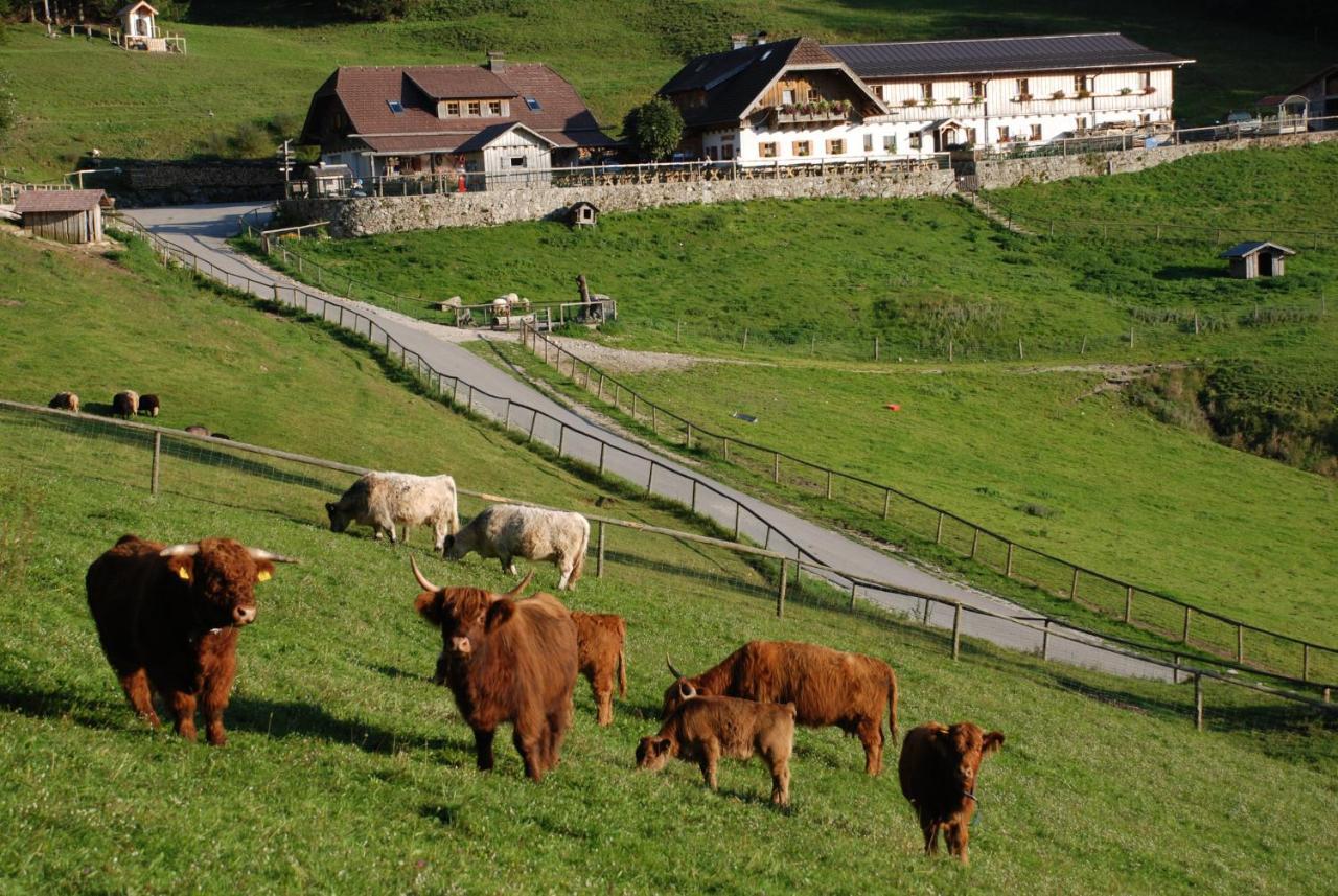 טראונקירכן Ferienwohnung Hochsteinalm מראה חיצוני תמונה