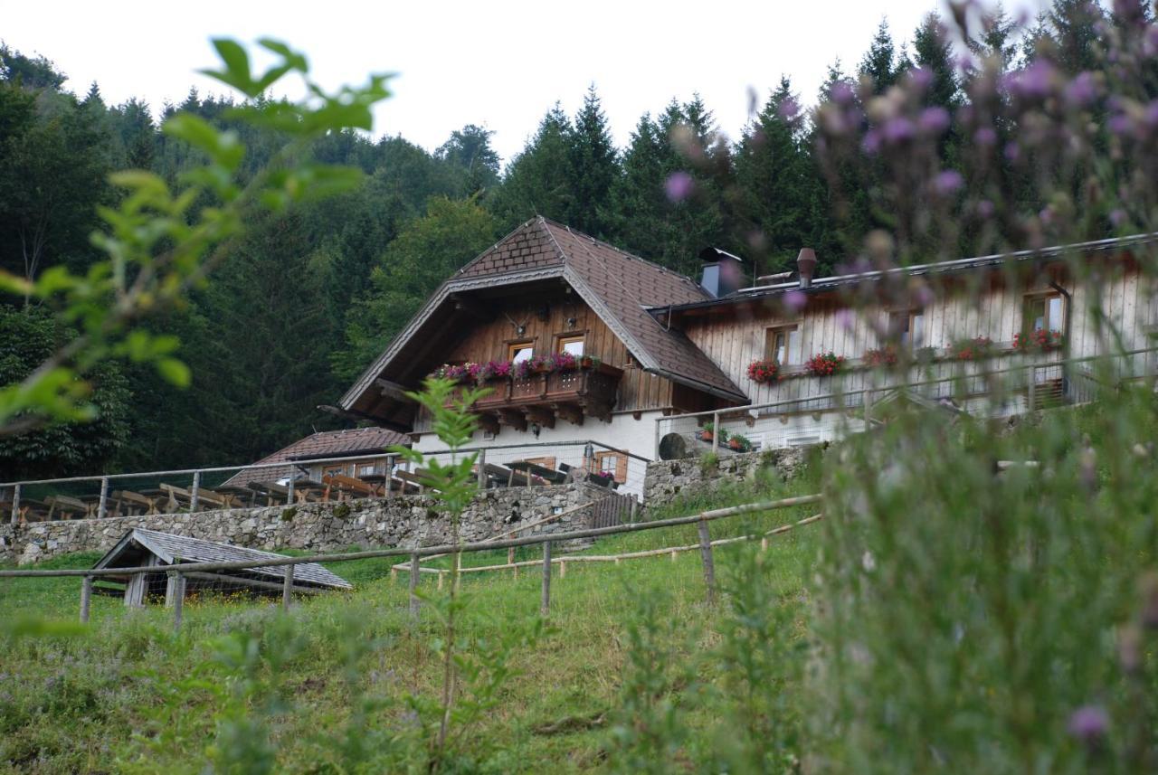 טראונקירכן Ferienwohnung Hochsteinalm מראה חיצוני תמונה